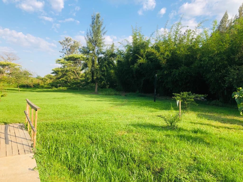 A bright green lawn and mature trees inside Nyandungu Eco-Park, Kigali